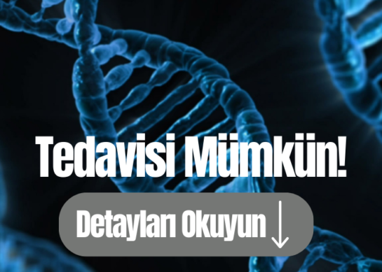 Şifanız Sizde Saklı: Bütüncül Tıpla Tanışmanız Yeterli!